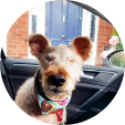 Libby