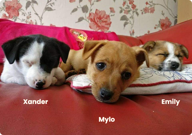Xander, Mylo & Emily