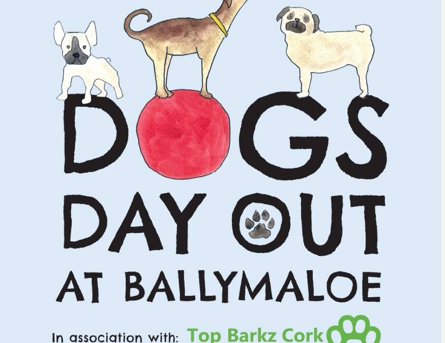 We had a wonderful day at Ballymaloe!
