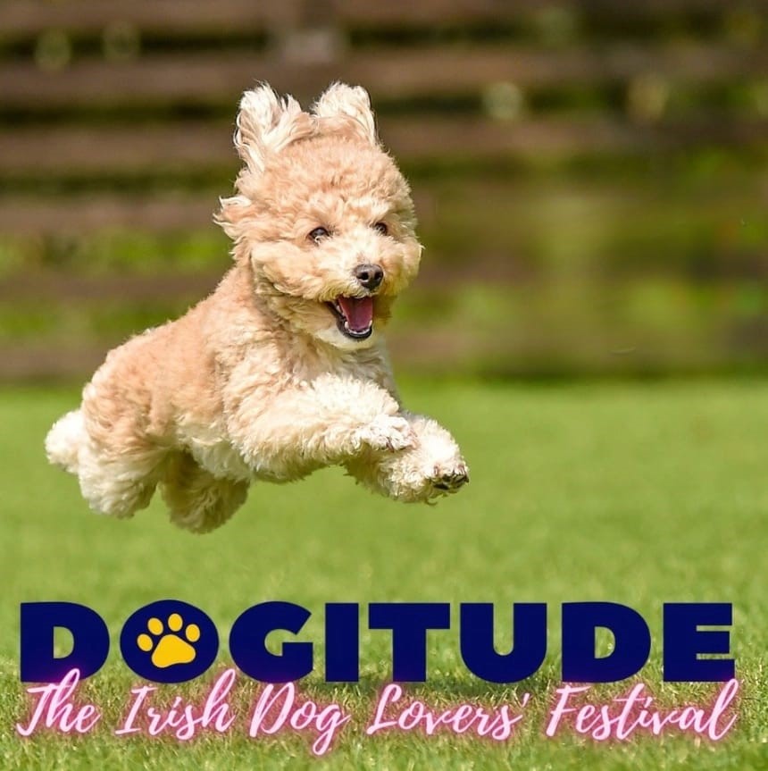 All set for Dogitude in May, 2023