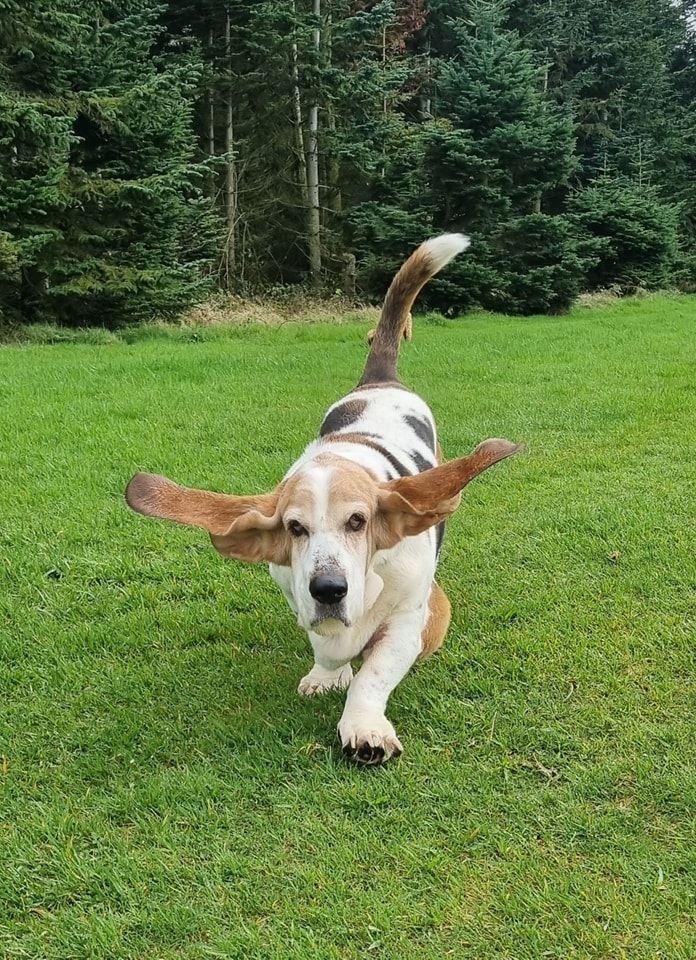 Alfie’s story – reverse ageing