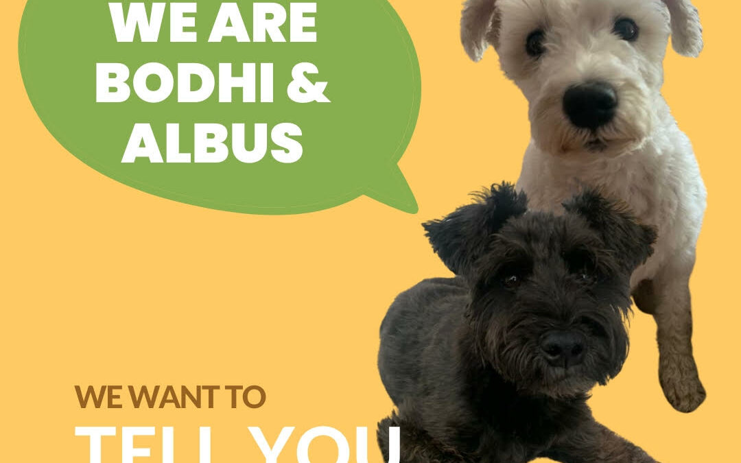 Bodhi & Albus’ Story