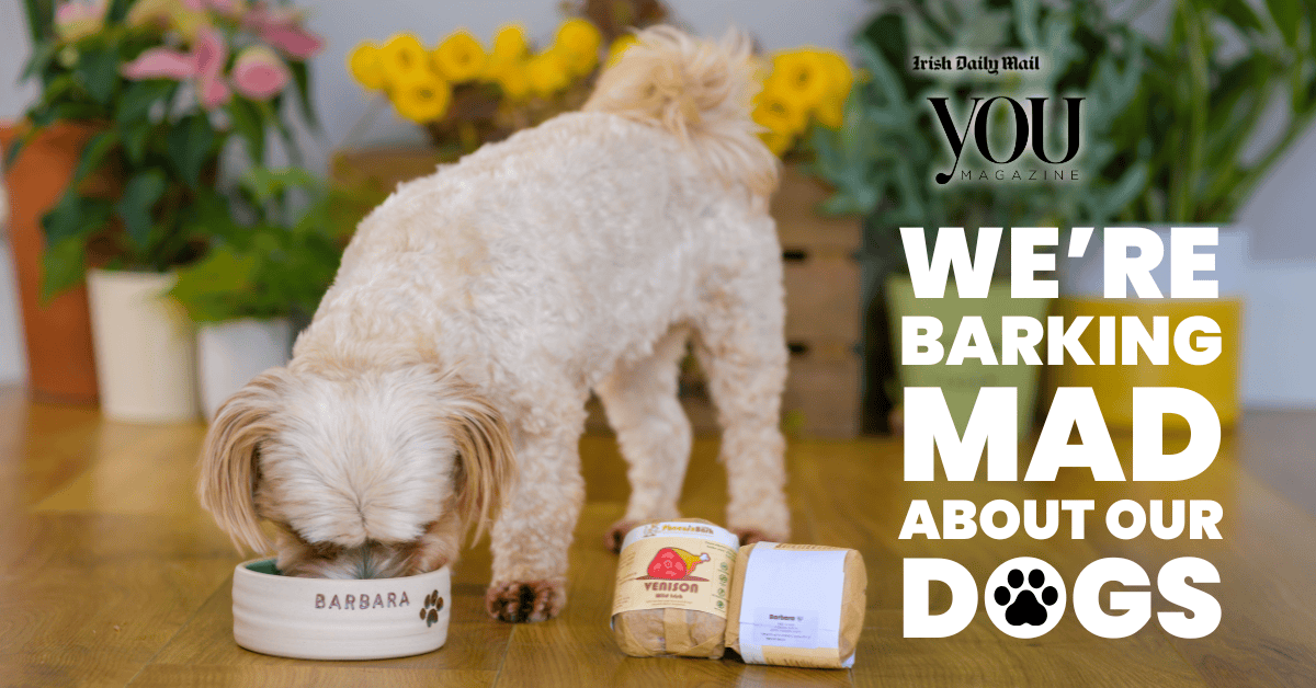 We’re Barking Mad About Our Dogs