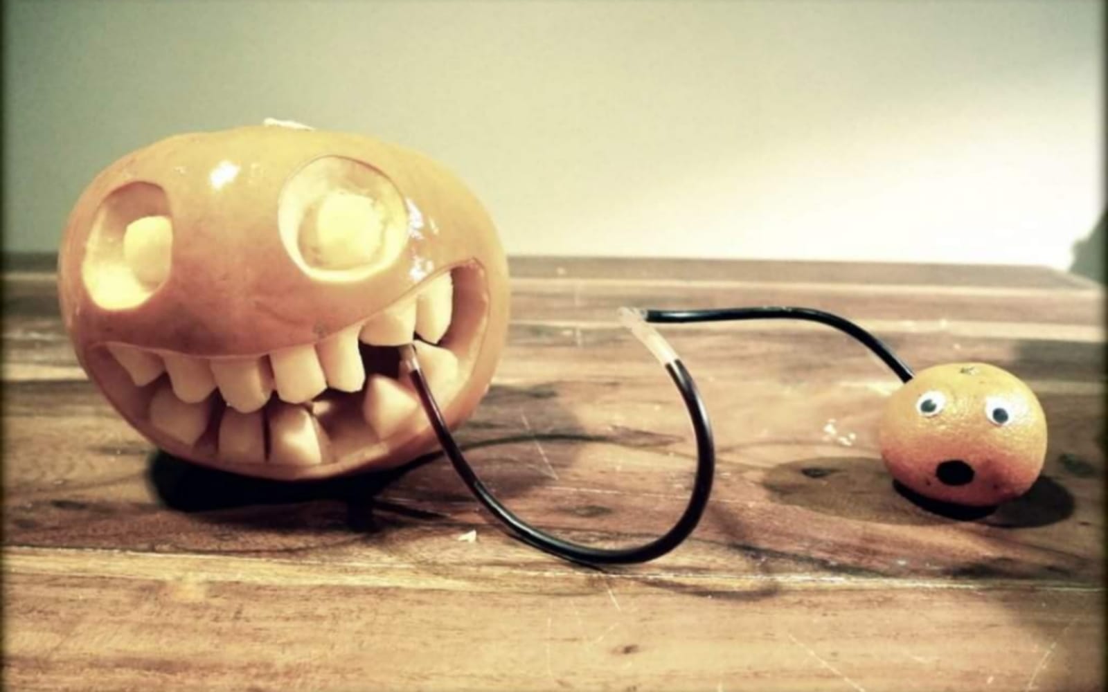 Frozen Pumpkin & Bone Broth Treats 🎃